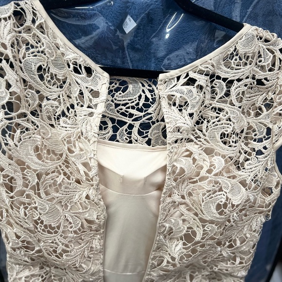 Elegant formal cap sleeve lace column gown by Adrianna Papell. - Picture 6 of 11